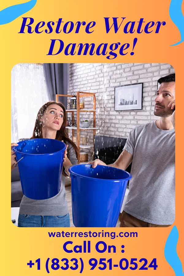 water restoration Apex Restoration Solutions Experts Bensley