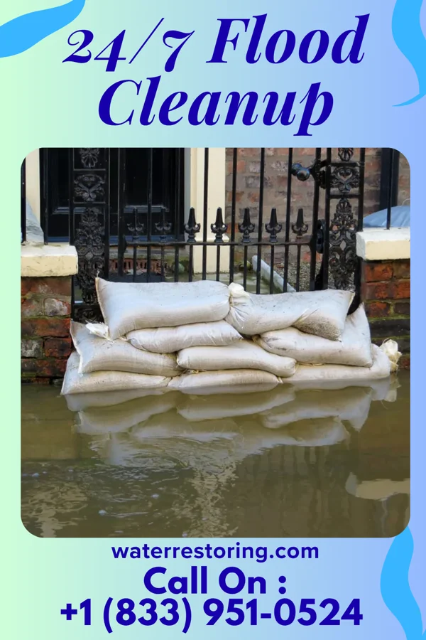 24/7 Flood Cleanup in Bensley, VA