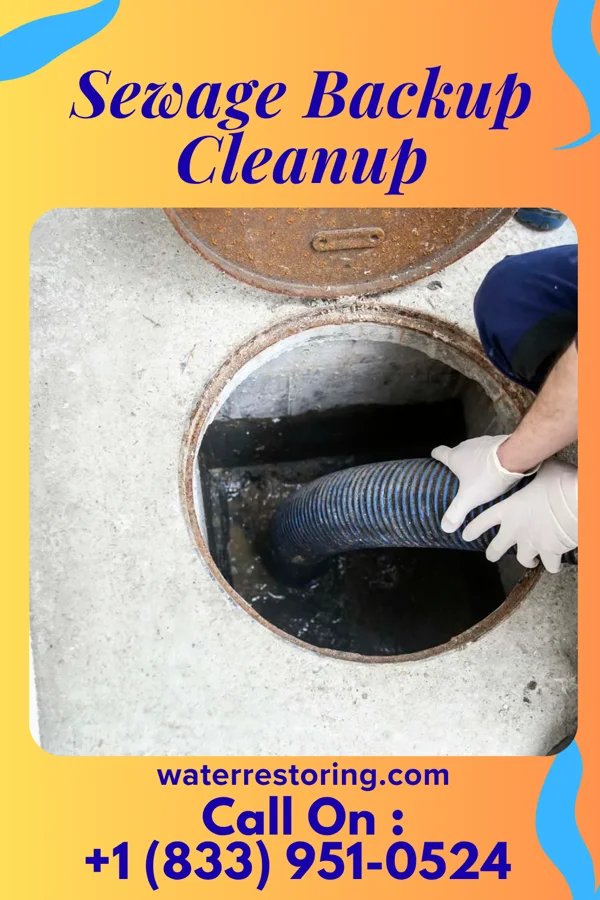 Sewage Backup Cleanup in Bensley, VA