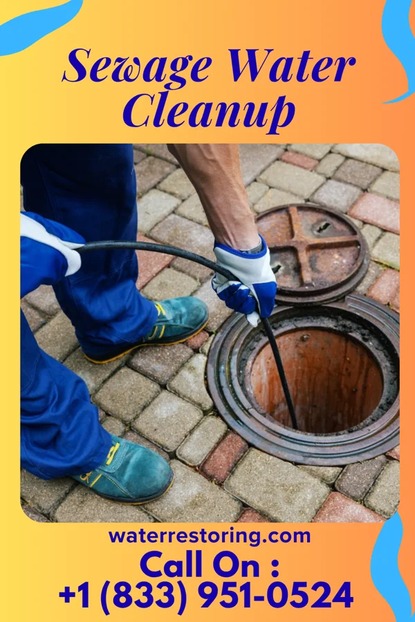 Sewage Water Cleanup in Bensley, VA