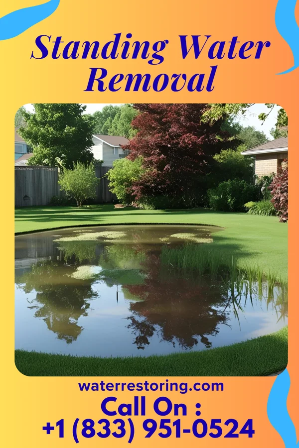 Standing Water Removal in Bensley, VA
